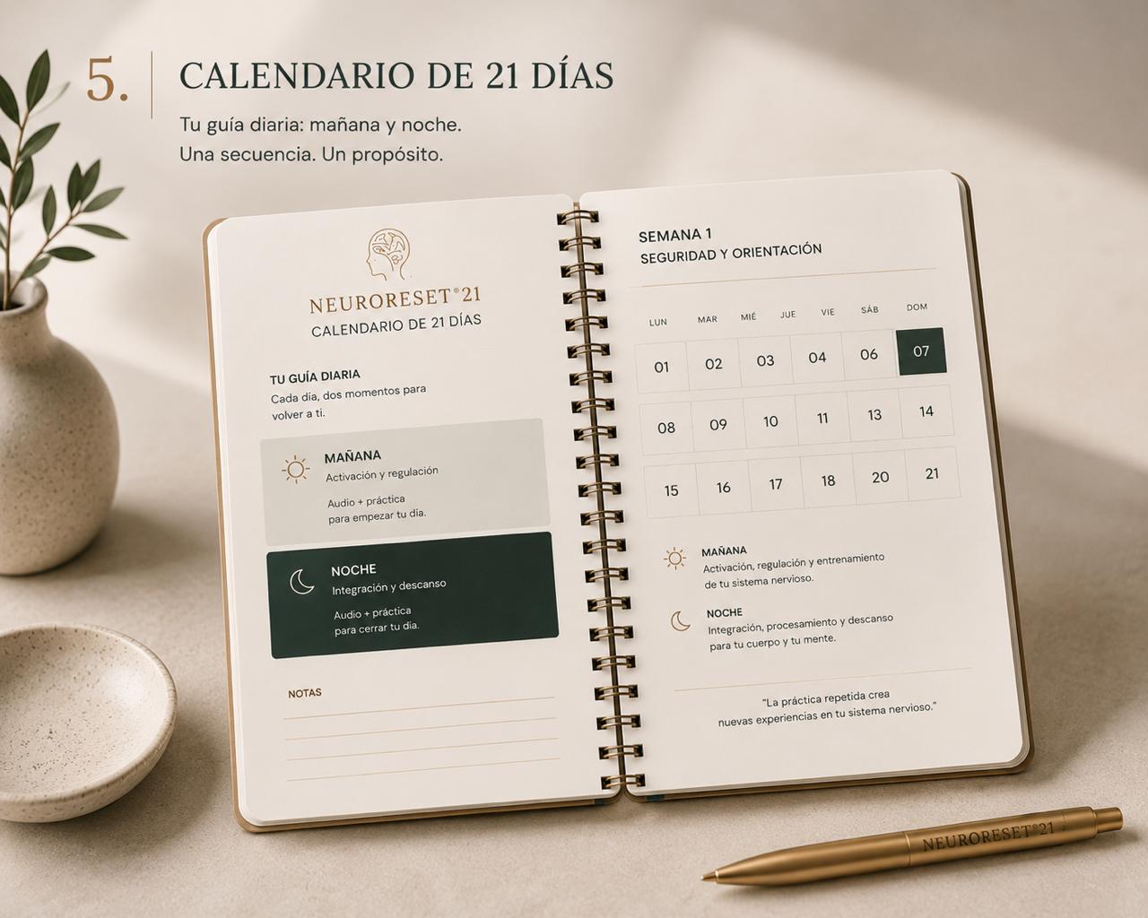 Calendario de 21 días NeuroReset 21®